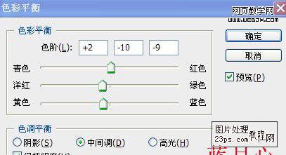 PS调色教程:把绿色花朵调成紫色