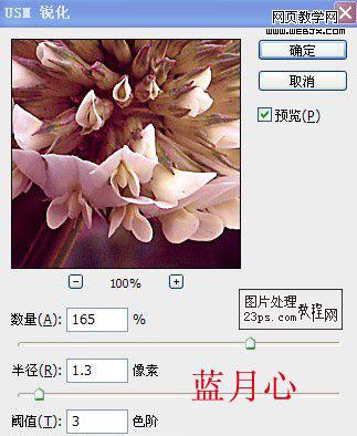 PS调色教程:把绿色花朵调成紫色