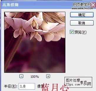 PS调色教程:把绿色花朵调成紫色