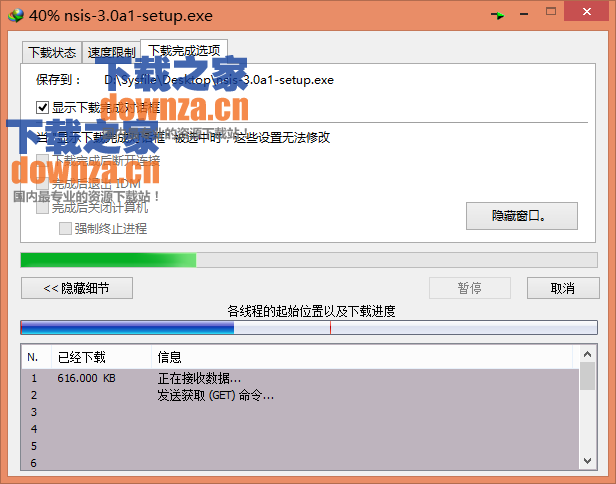 Internet Download Manager(IDM)
