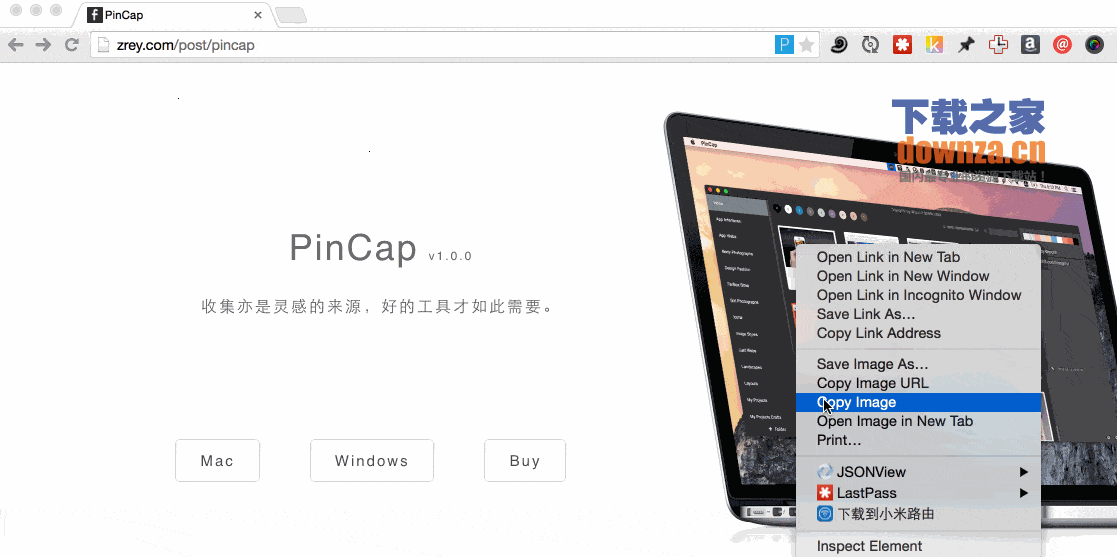 PinCap(网页图片云储存)
