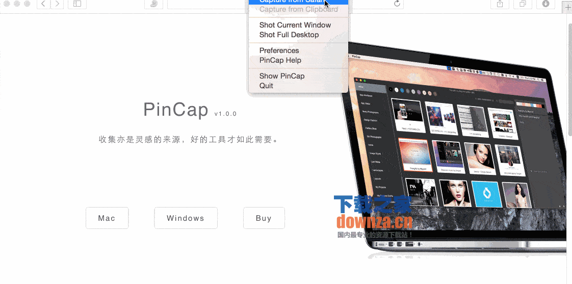 PinCap(网页图片云储存)