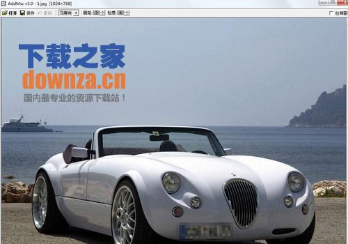 AddMsc(图片加马赛克工具)