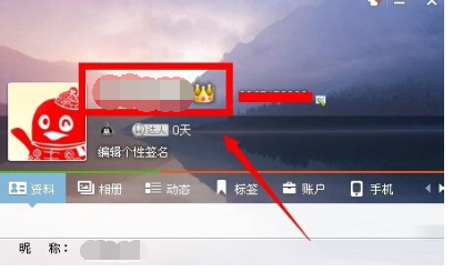 QQ网名 如何给自己的QQ网名添加皇冠 QQ网名添加皇冠方法