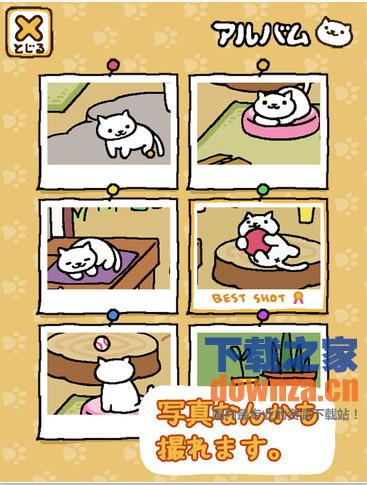 猫咪后院iPad版截图