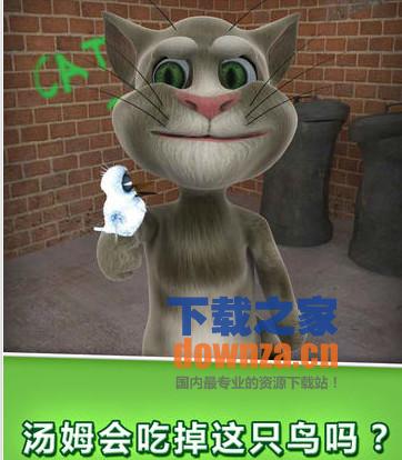 会说话的汤姆猫iPad版