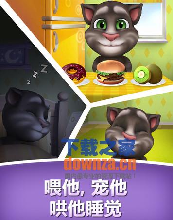 我的会说话的汤姆iPad版截图