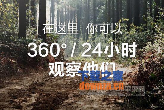 我们15个iPad版截图