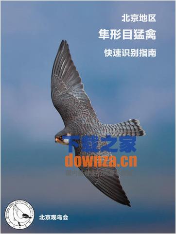 北京猛禽识别iPad版