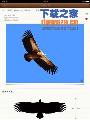 北京猛禽识别iPad版截图