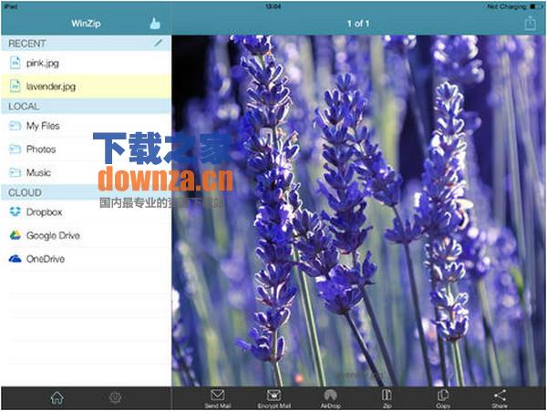 winzip iPad版