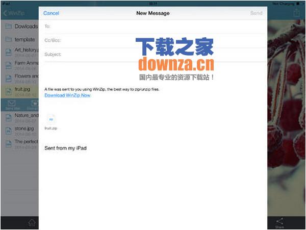 winzip iPad版截图
