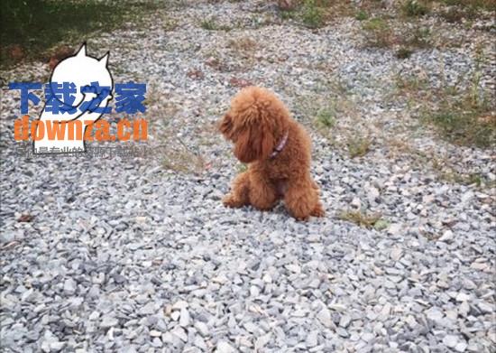 JuJu贴纸相机iPad版