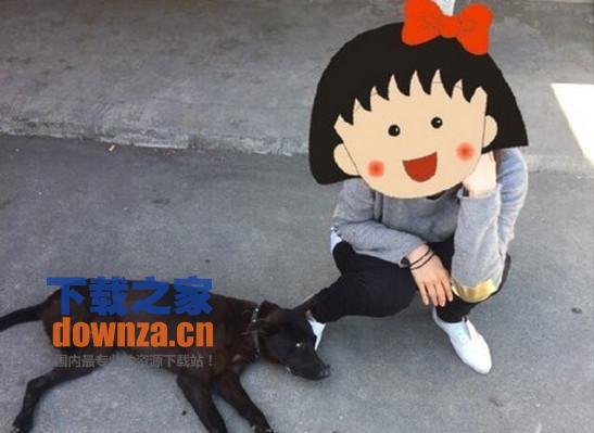 JuJu贴纸相机iPad版截图