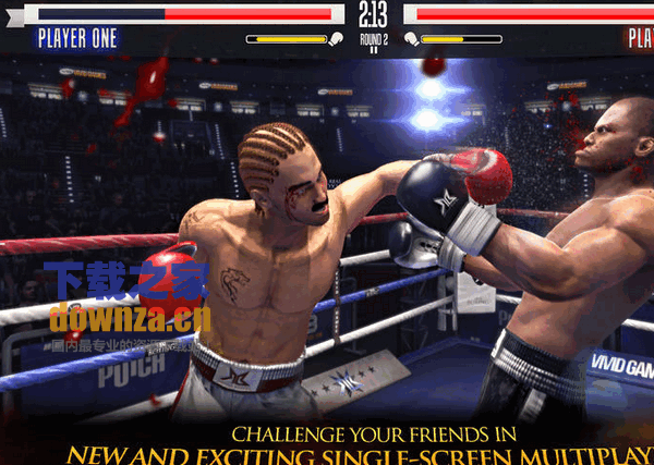 Real boxing for mac截图