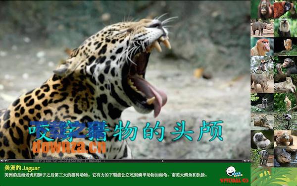 濒危动物for mac截图