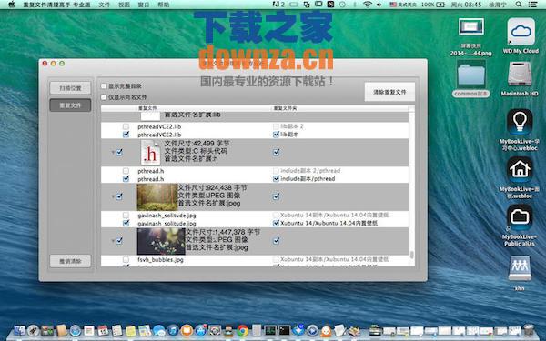 重复文件清理高手Mac版截图