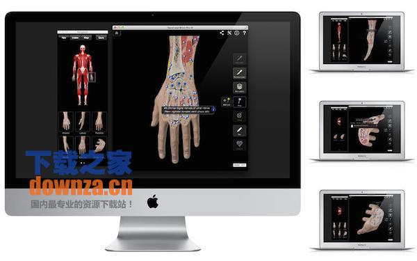 Hand & Wrist Pro III with Animations for mac截图