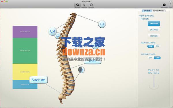 Aging Spine脊柱老化截图