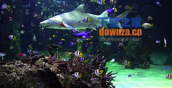 Aquarium live HD Mac版截图