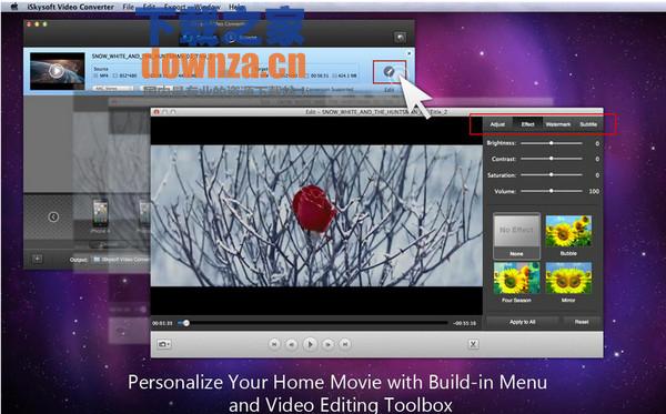iskysoft video converter for mac截图