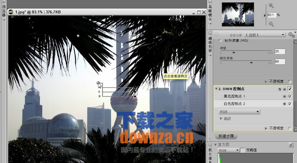 Nikon Capture NX Mac版