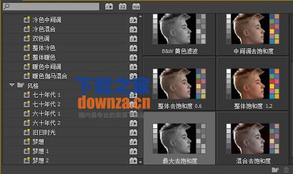 lut调色 Mac版