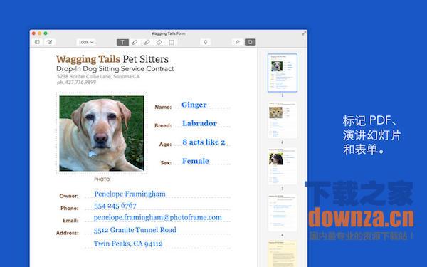 Notability Mac版截图