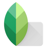 Snapseed for mac截图