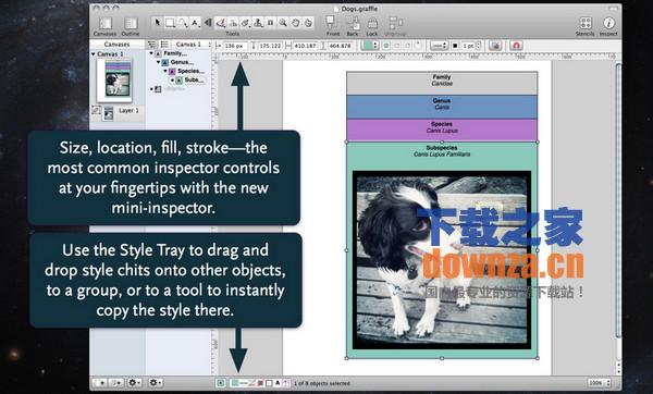 Omnigraffle pro for mac截图