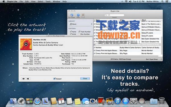 Dupin Lite for mac截图