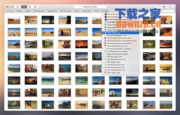 Fileloupe for mac截图