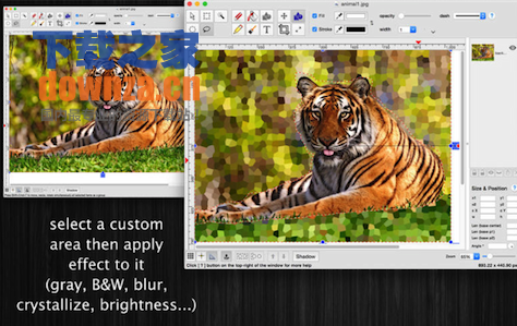 PaintPlus for Mac截图