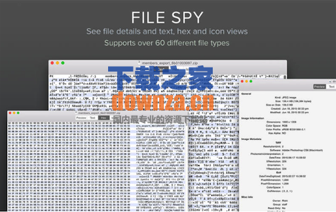 File Spy for Mac截图