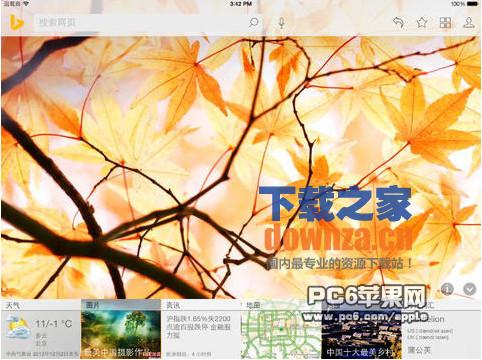 必应搜索iPad版