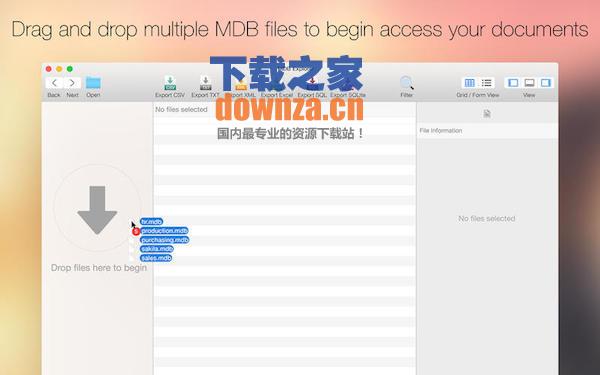 MDB Explorer for mac截图