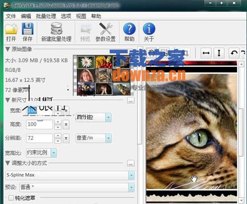 照片无损放大(BenVista PhotoZoom Pro)