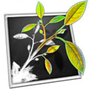 Mindnode pro Mac版